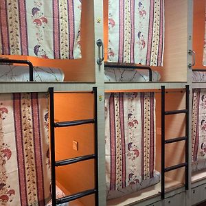Single Bed Female Dormitory Room